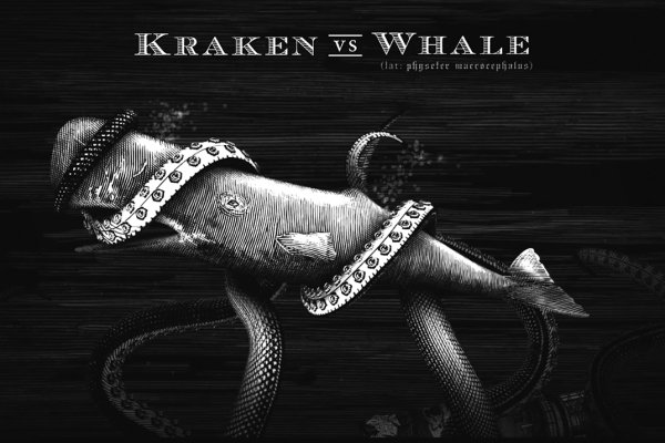 Kraken наркотики