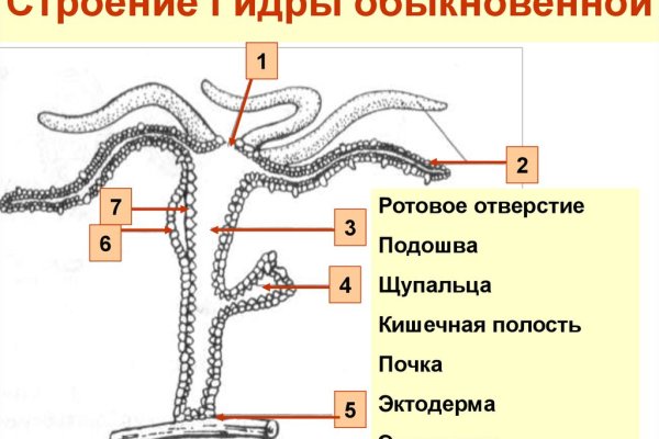 Кракен телеграм каналы