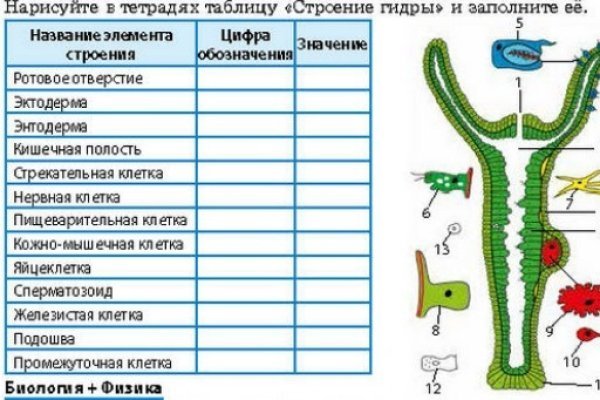 Рабочее зеркало кракен