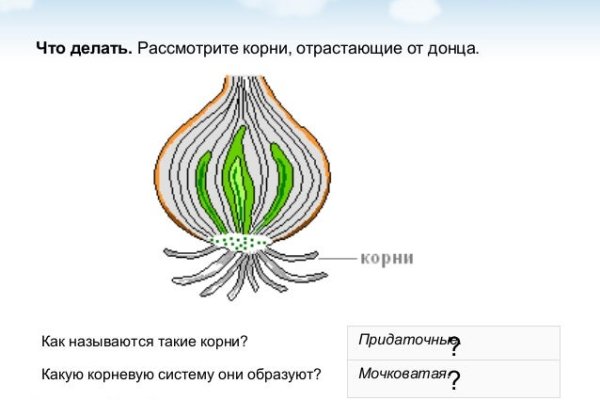 Кракен рутор